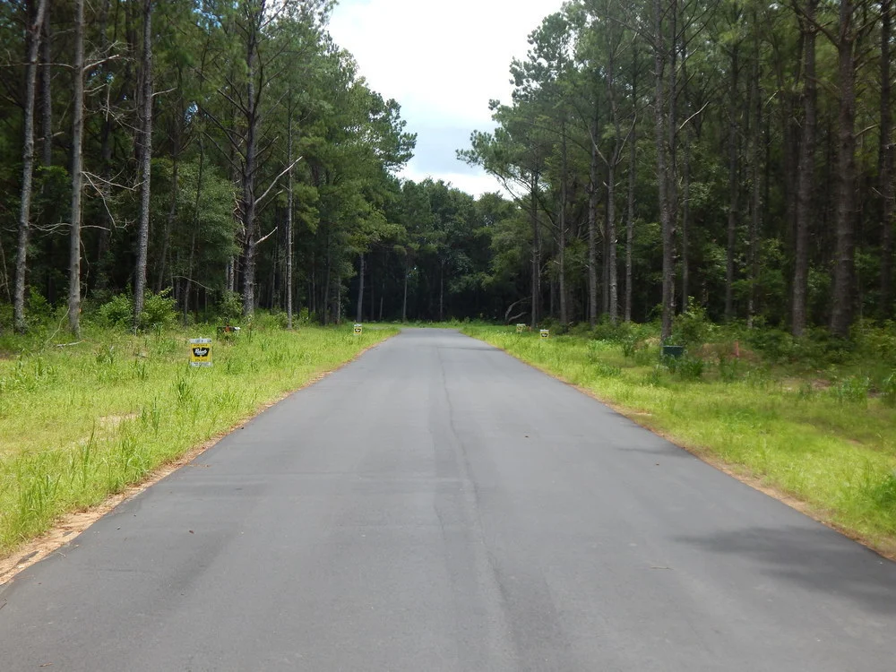magnolia springs4