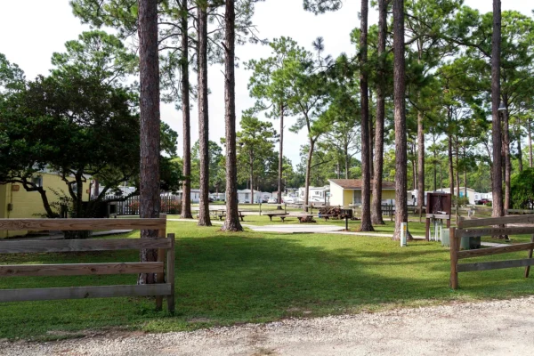 rustic sands in mexico beach1