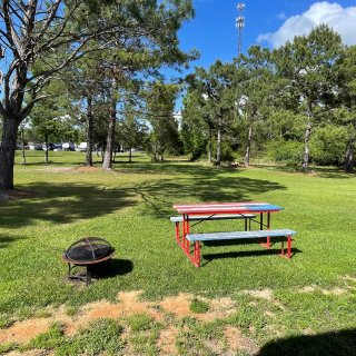 picnic table in a grassy field with trees behind