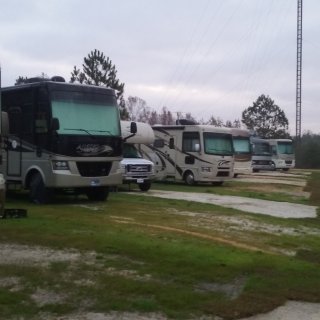 Row of RVs in a campground