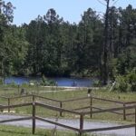 rail fence in foreground. pretty lake and trees behind it