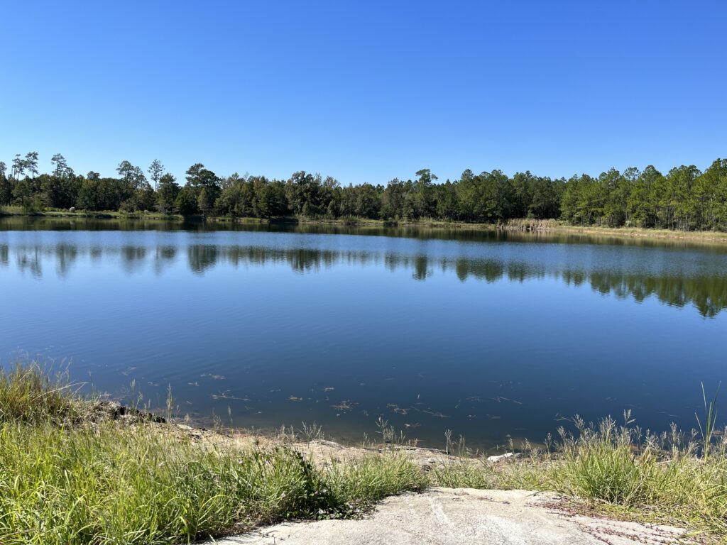 pond.view2