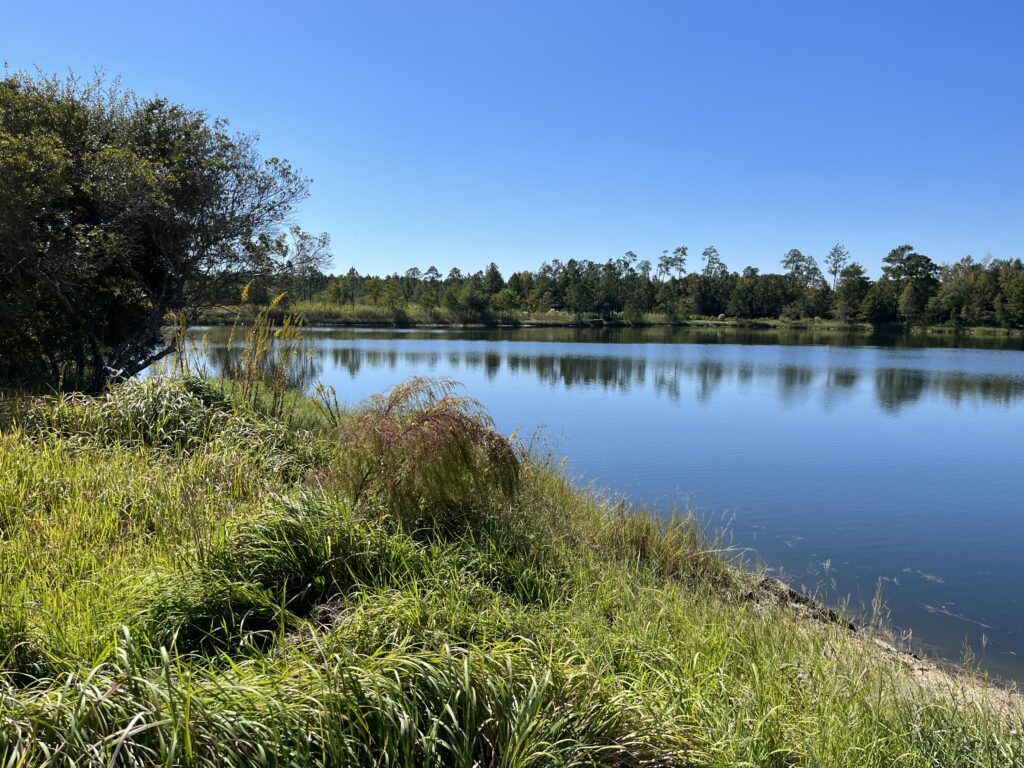 pond.view3