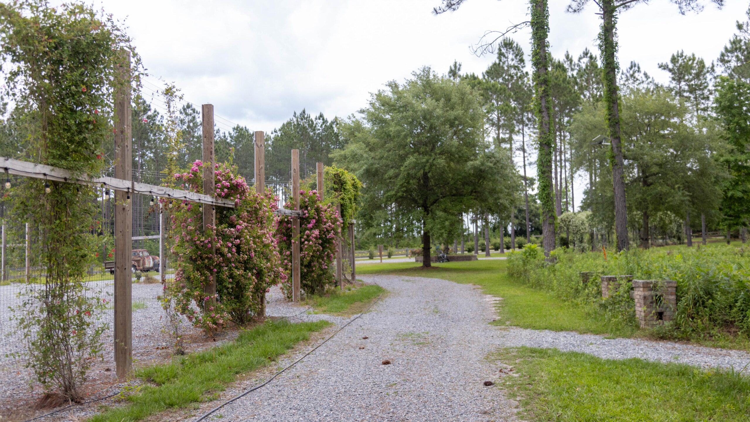 Incredible Event Center with Destination RV Park Expansion in So. Georgia photo 5