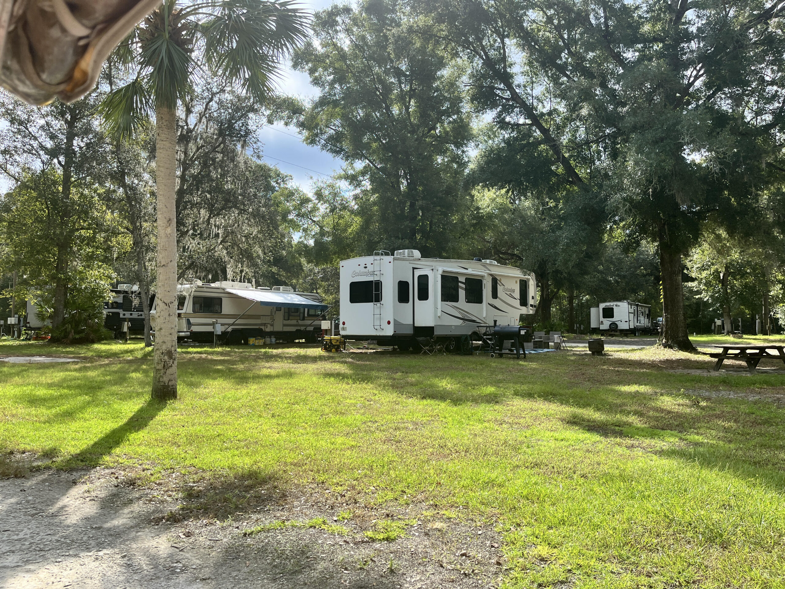 Suwannee River Hideaway photo 5