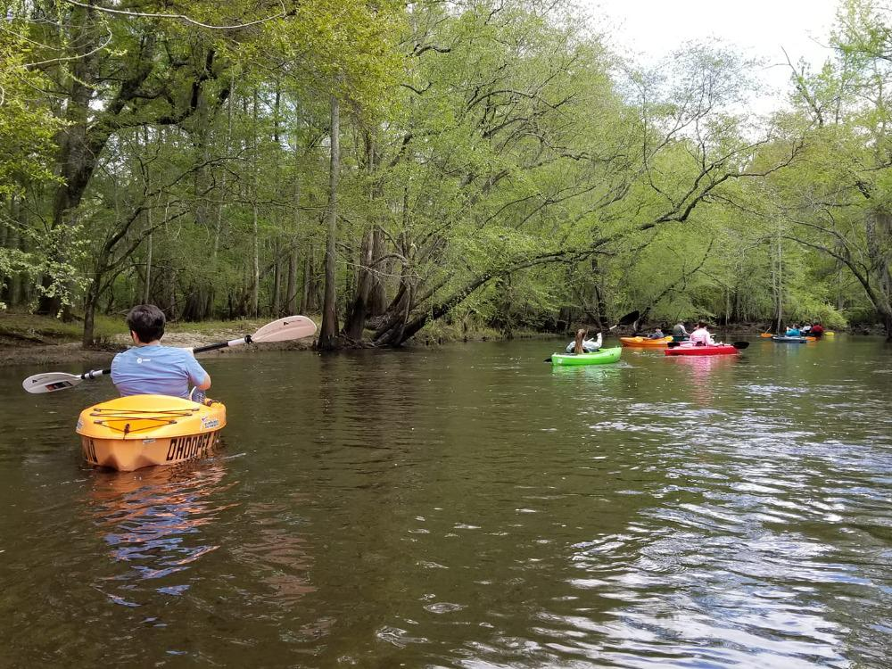 kayaks