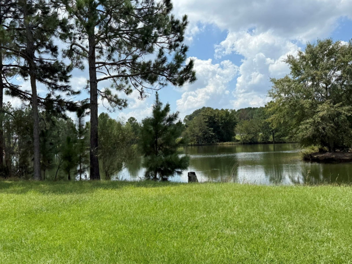 lakeview lake