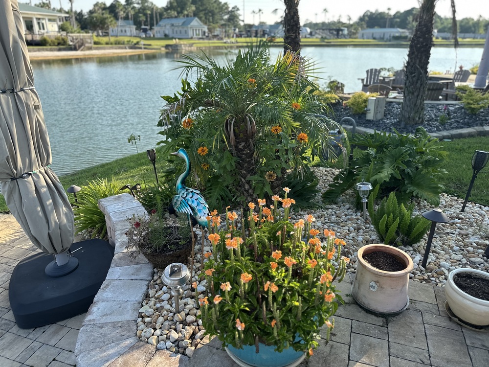 Lake Osprey RV Resort photo 5