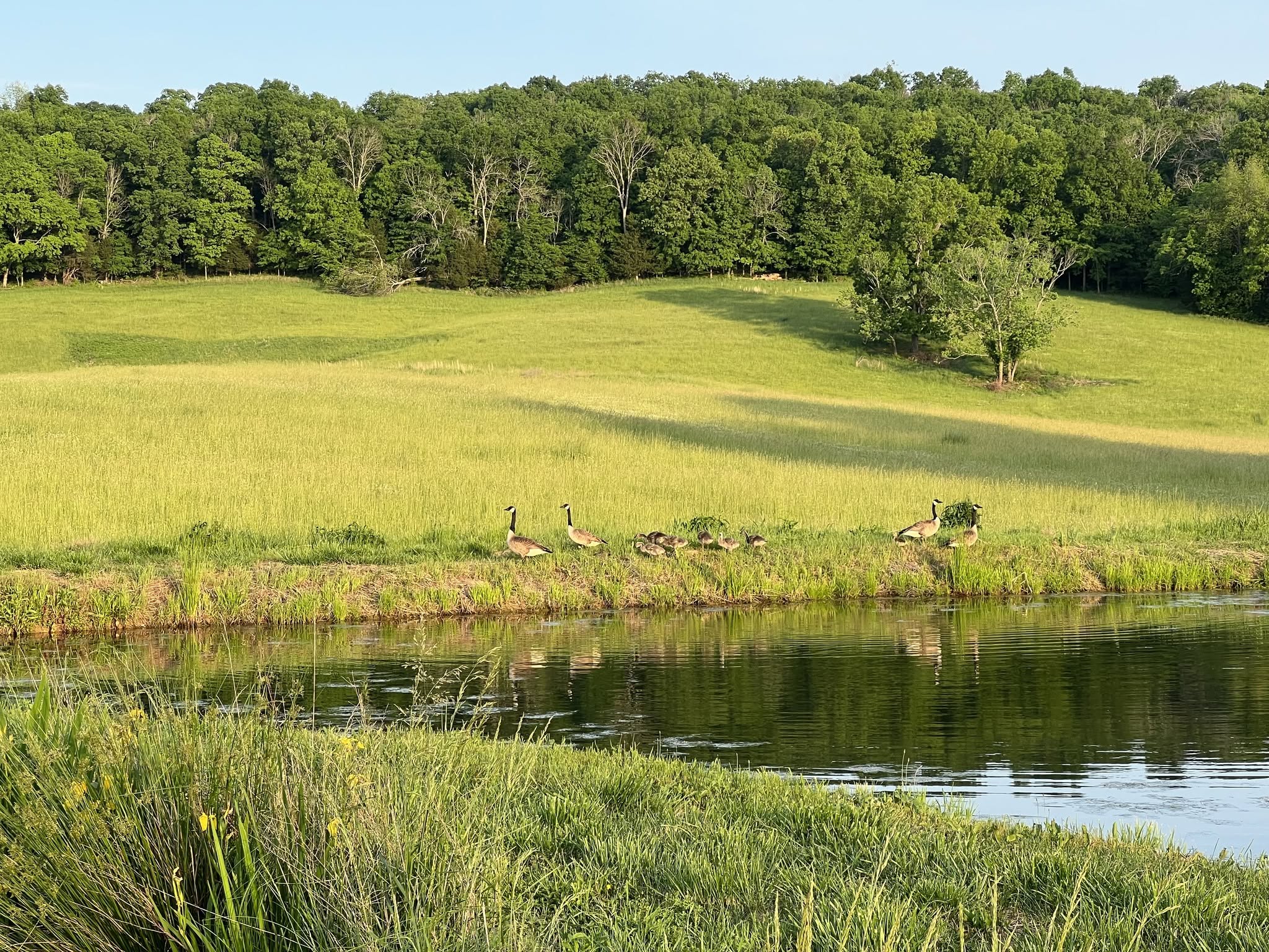 You’ll love owning an RV park near Lake Cumberland, KY! photo 8