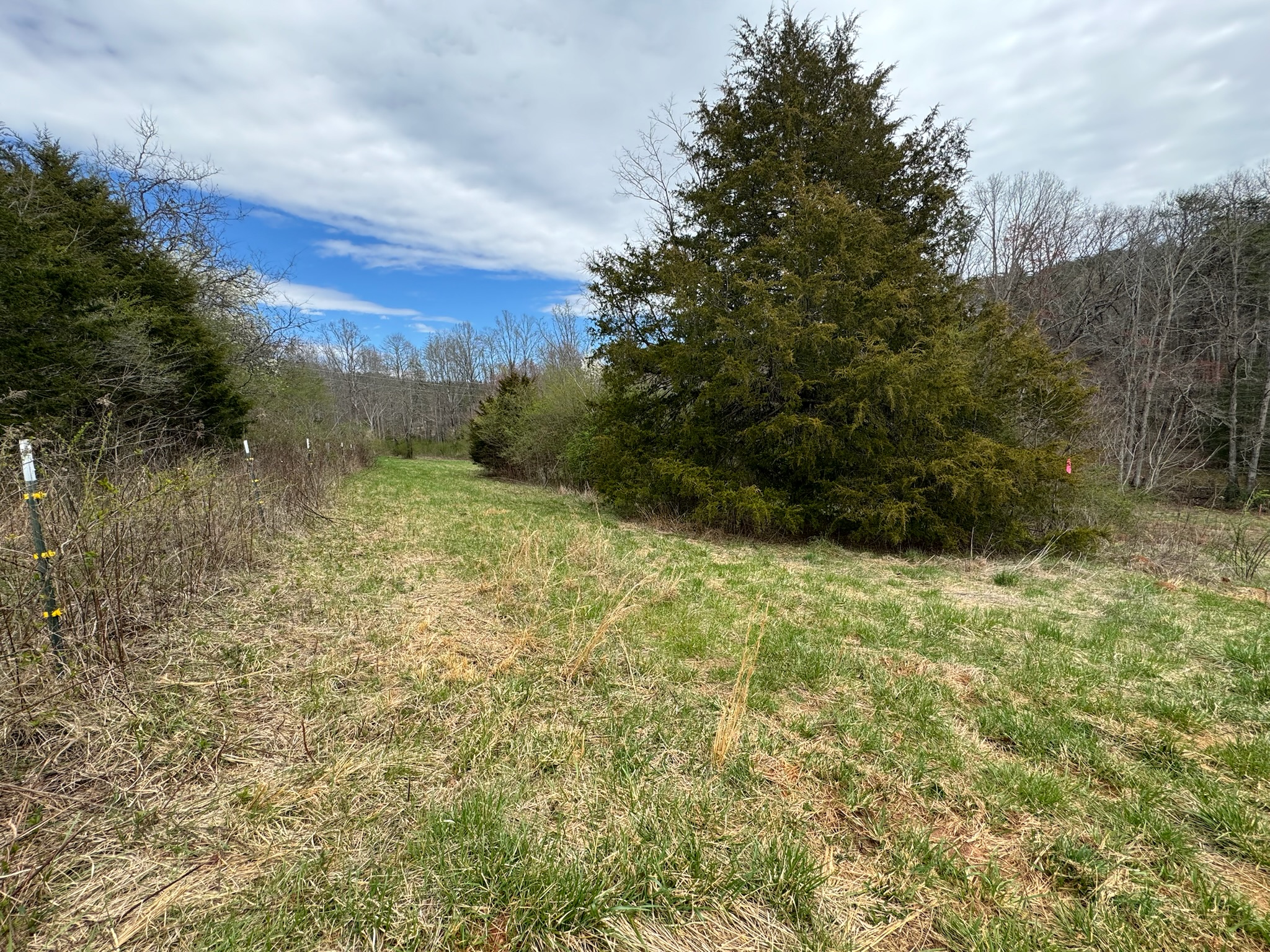 NEW PARK OPPORTUNITY near Lake Lure, North Carolina photo 4