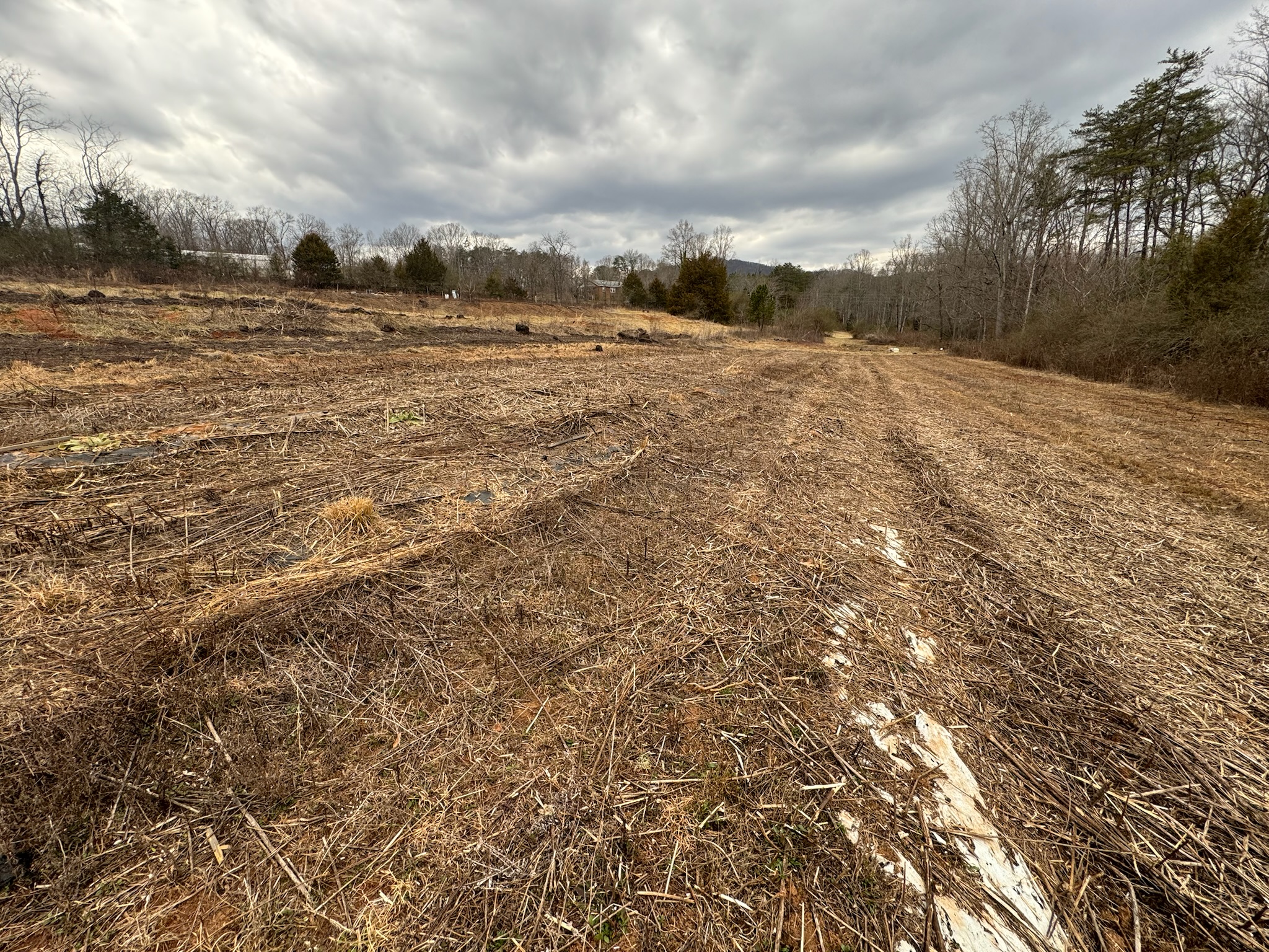 NEW PARK OPPORTUNITY near Lake Lure, North Carolina photo 5